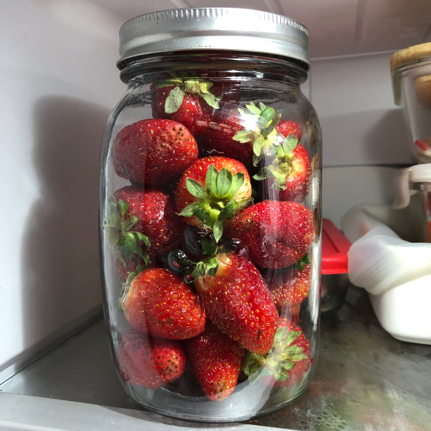Preserving Berries at Home
