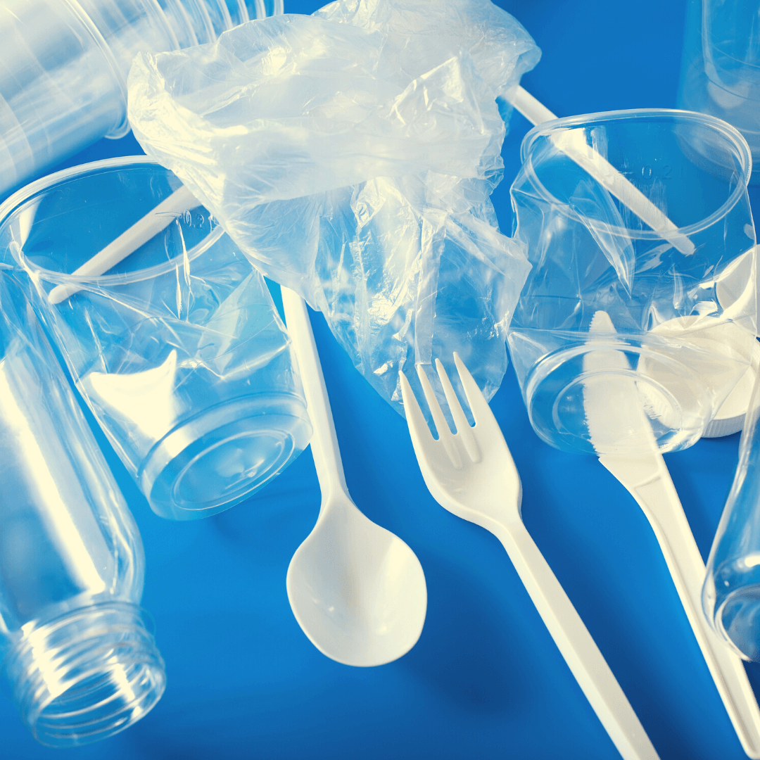 Single Use Plastics Ban Victoria KitMaii