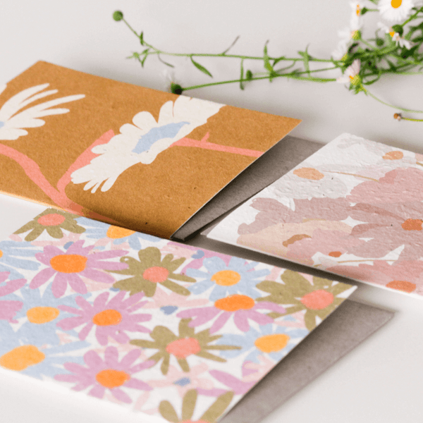 plantable hello petal greeting cards.  Cards you can plant and they become flowers