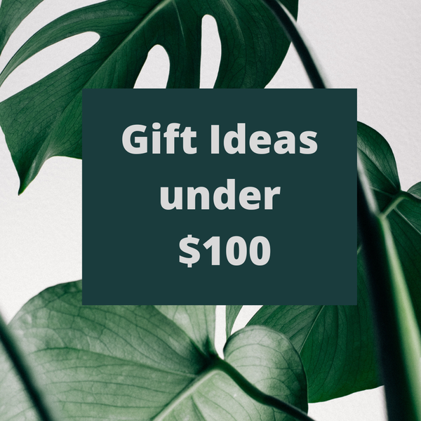 Gifts Under $100