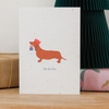 Plantable blooming card with picture of sausage dog holding a gift and words ho ho ho on the card