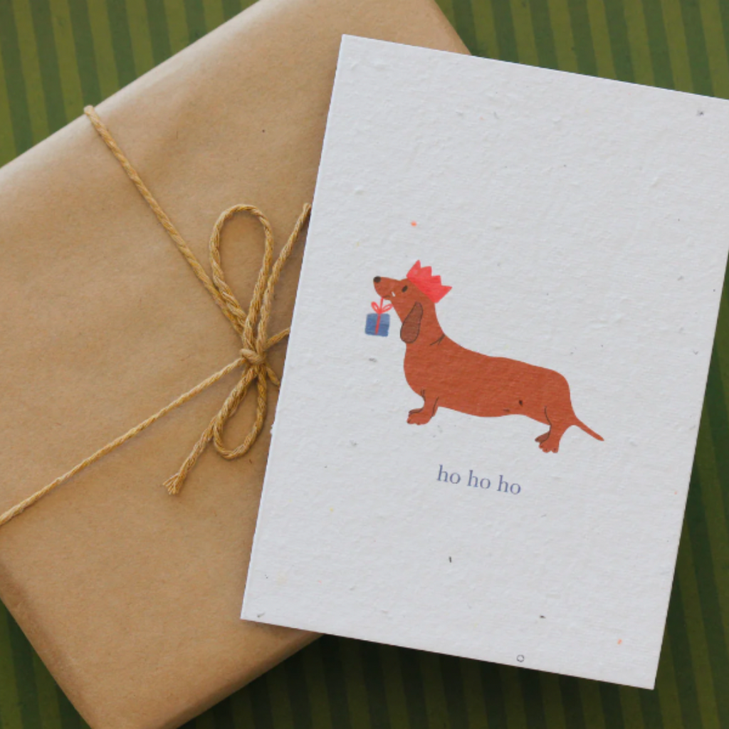 Plantable blooming card with picture of sausage dog holding a gift and words ho ho ho on the card on a wrapped gift