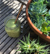 Green smoothie in a jar with a straw on a wooden surface next to a pot of succulents