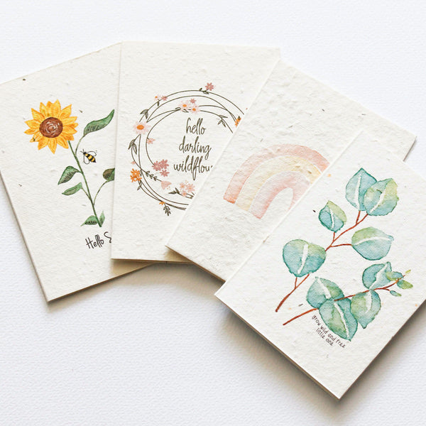 sunshine blooming card variety (mini 4 pack) 4 pack